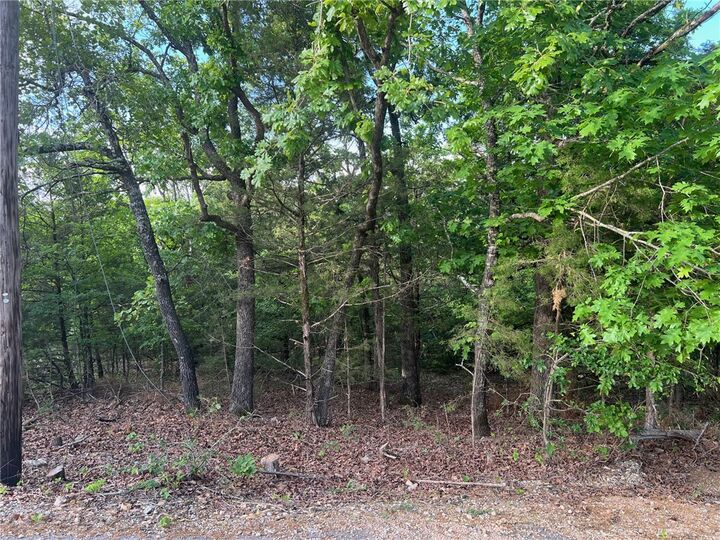 Property Photo:  Tbd Diamond Point Boulevard  AR 72630 