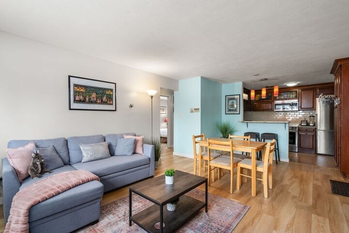 Property Photo:  31 Warren Street B1  MA 02453 