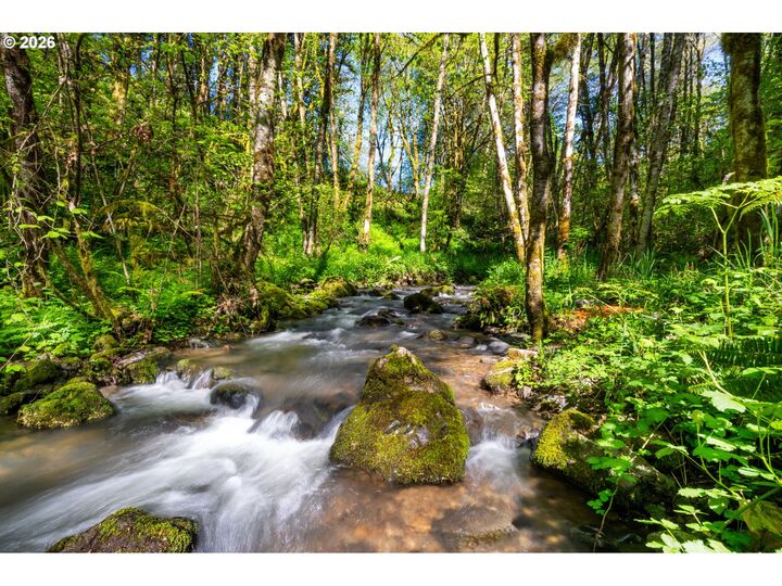 Property Photo:  2838 Lewis River Rd  WA 98674 