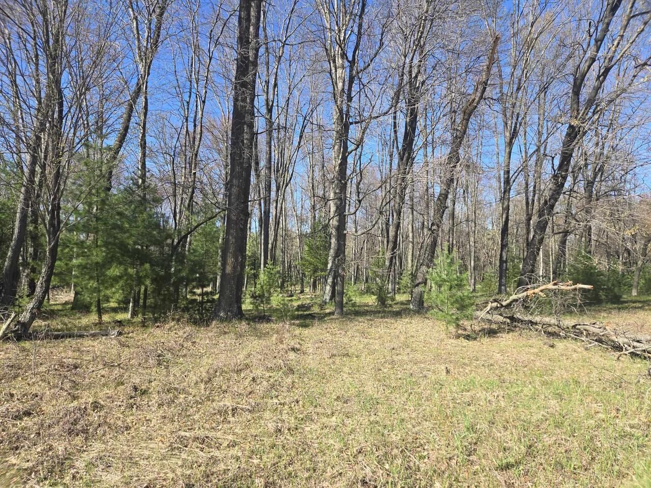 Property Photo:  0 Chicago Avenue  WI 54613 
