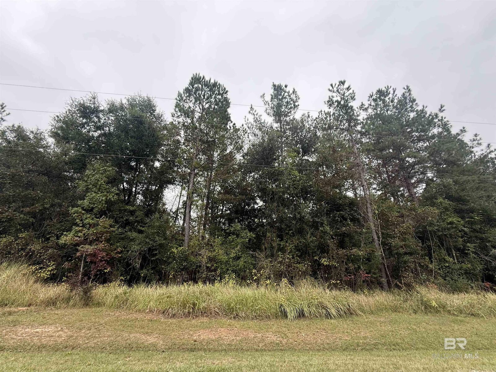 Property Photo:  36636 Legacy Way  AL 36507 
