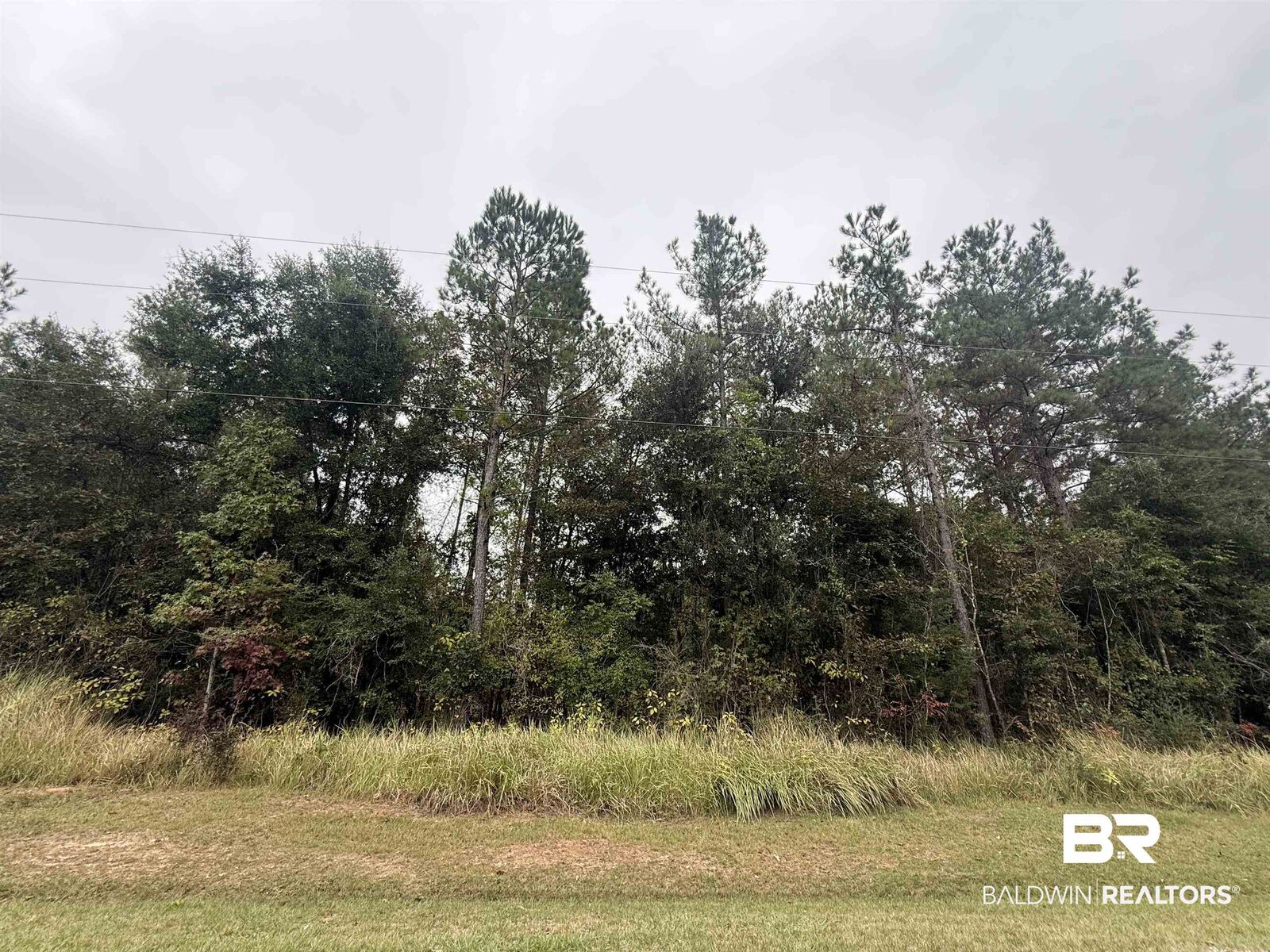 Property Photo: 36636 Legacy Way AL 36507