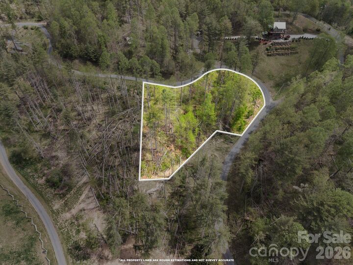 Property Photo:  0000 Mountain Crest Drive 18  NC 28705 