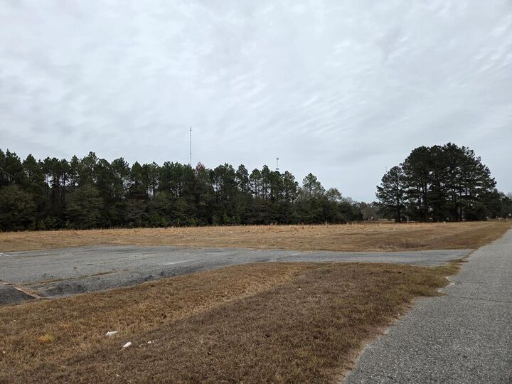 Property Photo:  118 Joe Wright Drive/New Harvest Road Lot A  GA 31015 