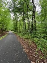 Property Photo:  410 Dogwood Drive  GA 30114 