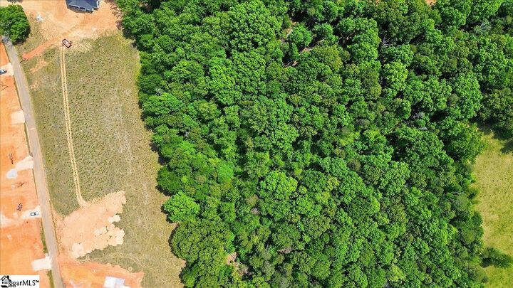Property Photo:  0 Parris Farm Road Lot 6  SC 29323 