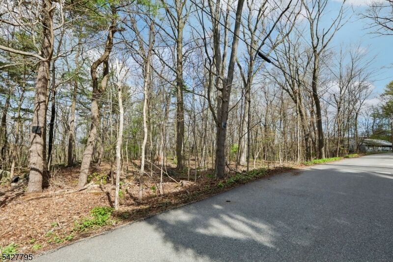Property Photo: 11 Alamoosook Rd NJ 07422