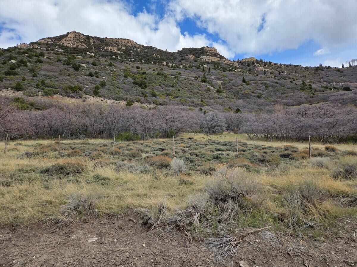 Property Photo:  E Cedar Highlands Dr  UT 84720 