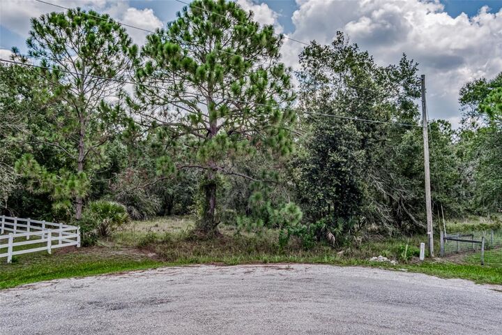 Property Photo:  401 Indian Meadow Court  FL 33598 