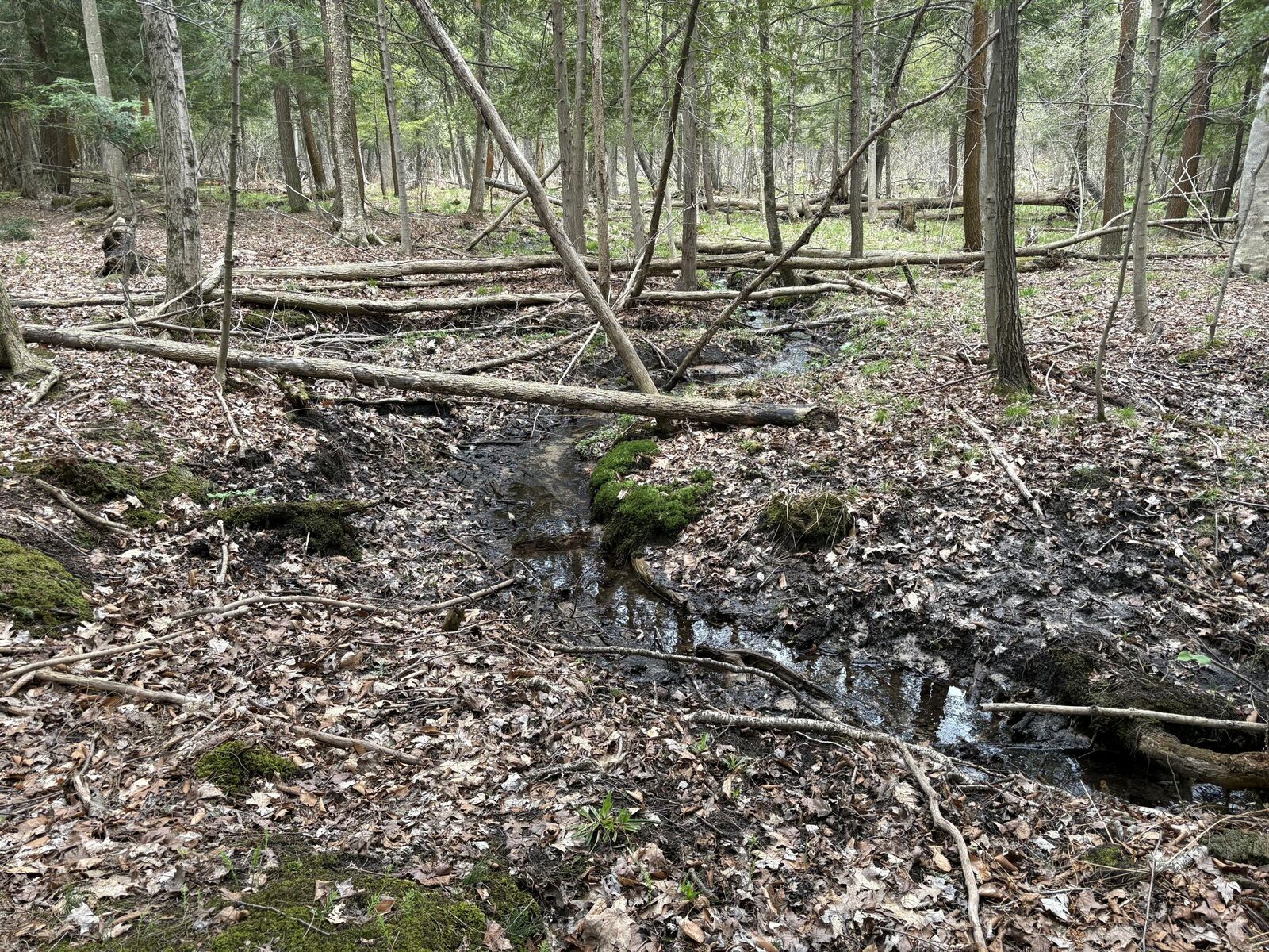 Property Photo:  2.27 Acres W Shelby Road  MI 49455 