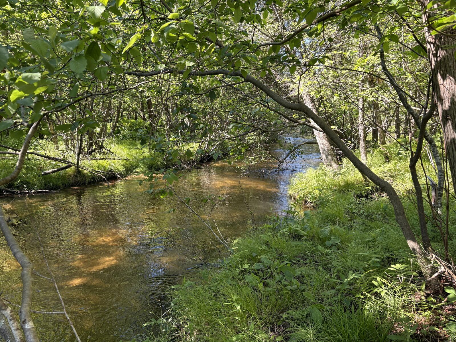 Property Photo: 2.27 Acres W Shelby Road MI 49455