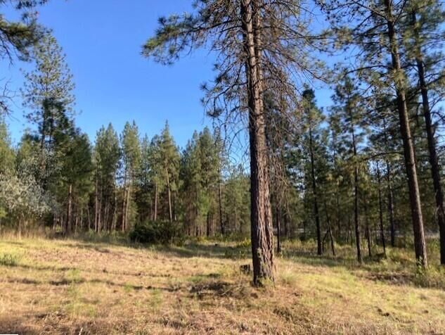 Property Photo:  1172 Fumi Cir  WA 99141 