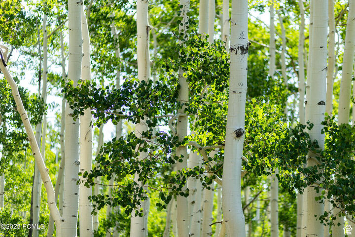 Property Photo:  5156 N Pebble Drive 75  UT 84049 