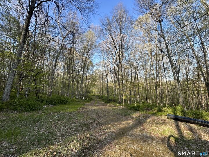 Property Photo: 78 Salt Rock Road CT 06330