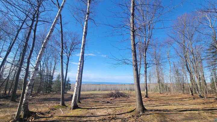 Property Photo:  Lot 10 Voyageur Rd  WI 54827 