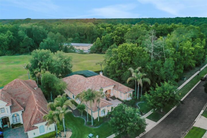 Property Photo:  710 Shadowmoss Circle  FL 32746 