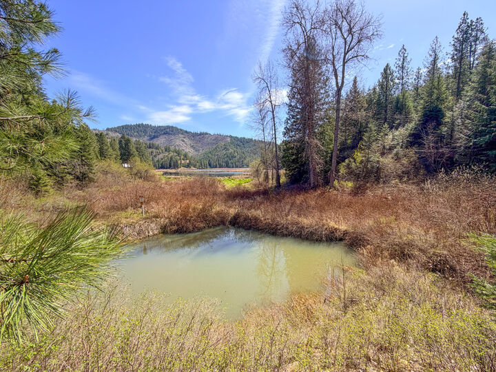 Property Photo:  4224 Grouse Creek Rd  WA 99148 