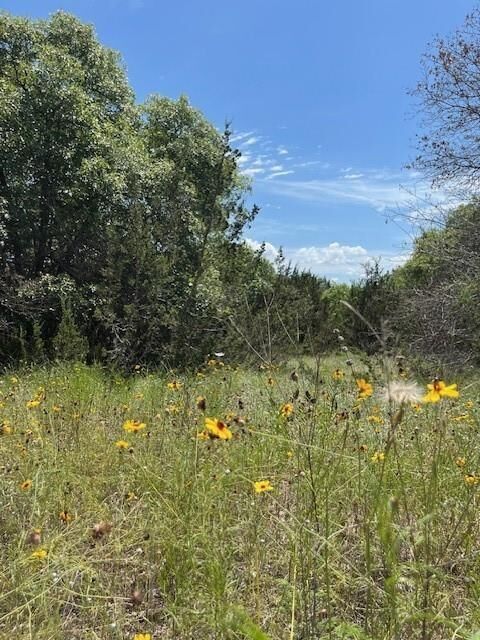 Property Photo:  1065 Bluegill Ridge  TX 76433 