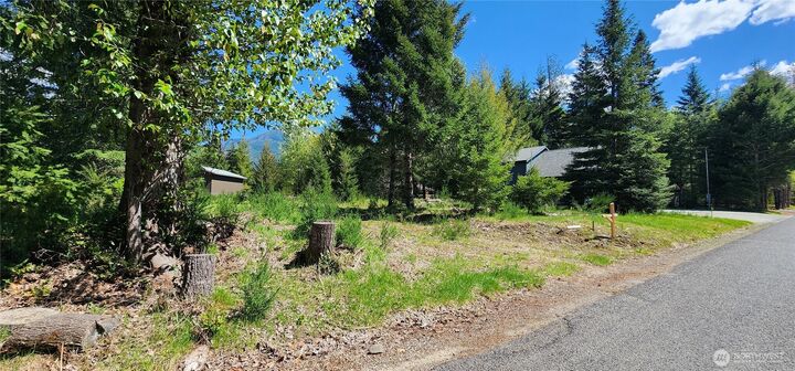 Property Photo:  113  Cottonwood Lane  WA 98361 