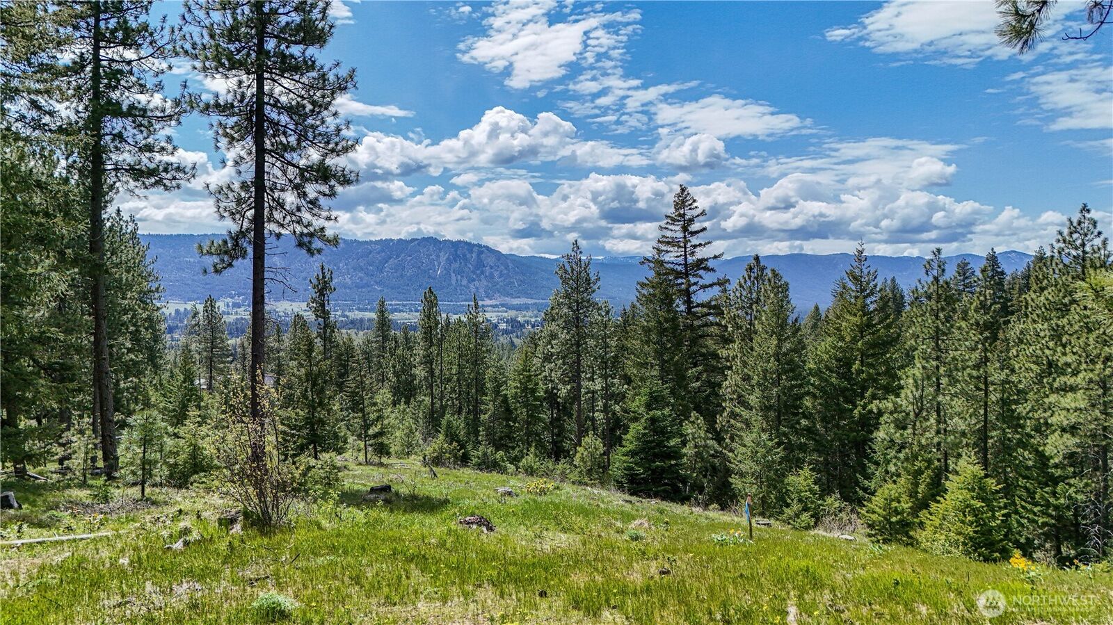 Property Photo:  1631  Creekside Road  WA 98922 