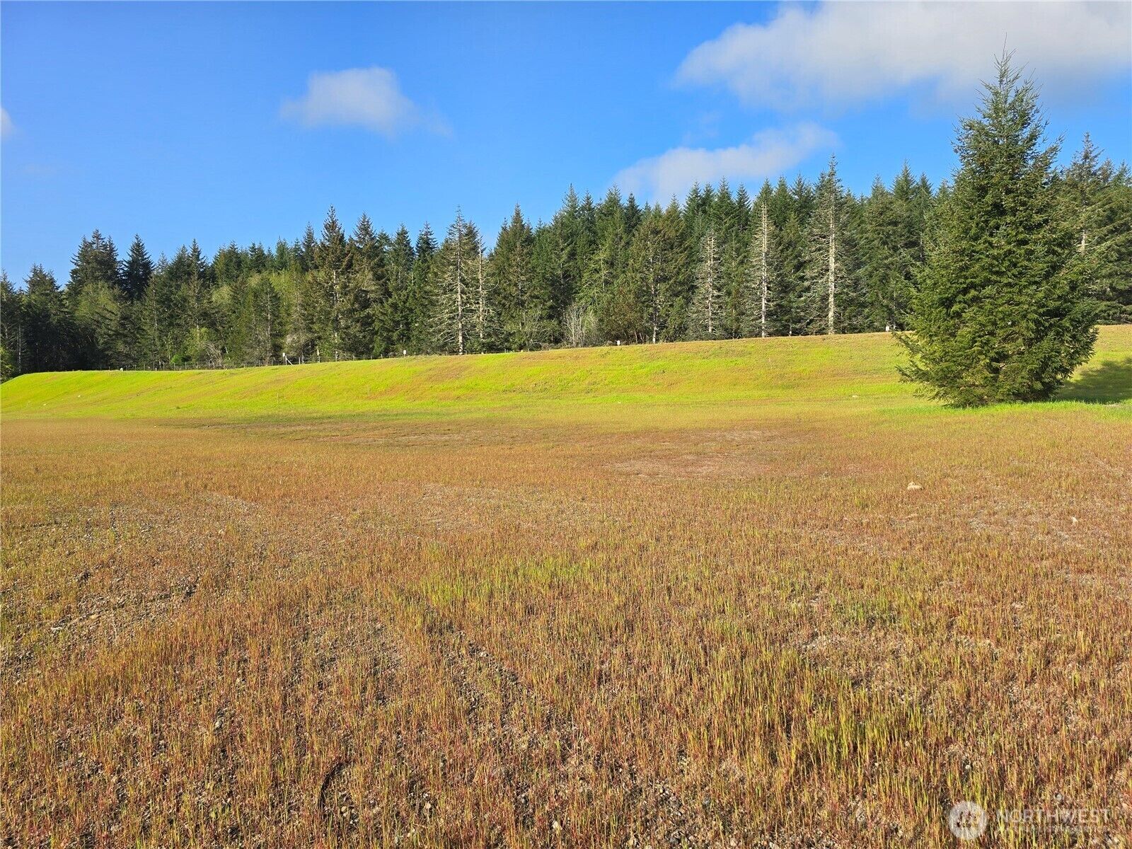 Property Photo:  91 E Virgil Drive W  WA 98524 
