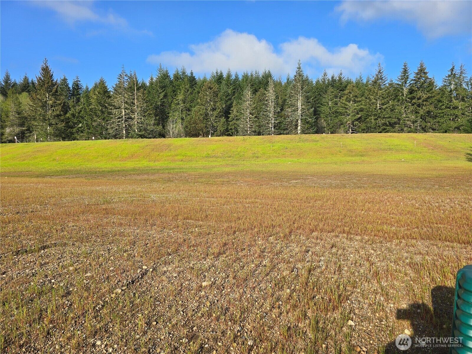 Property Photo:  81 E Virgil Drive W  WA 98524 