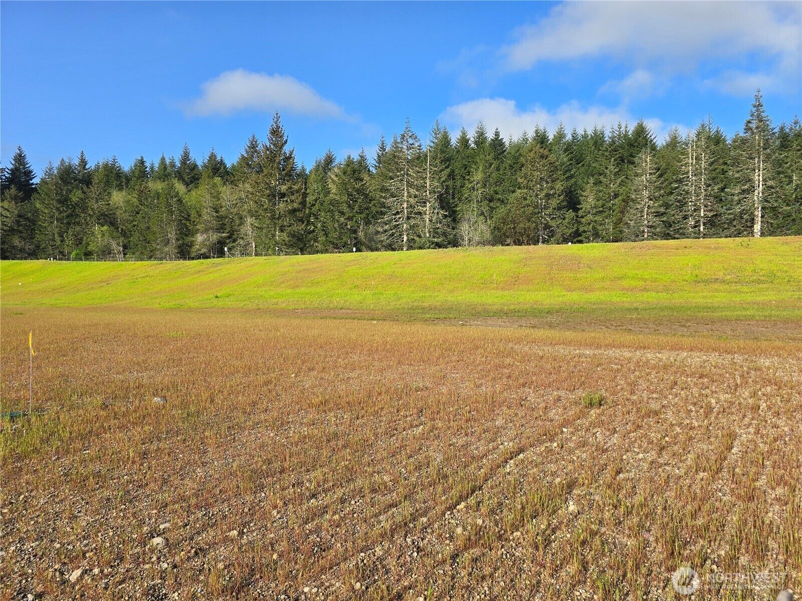Property Photo:  71 E Virgil Drive W  WA 98524 