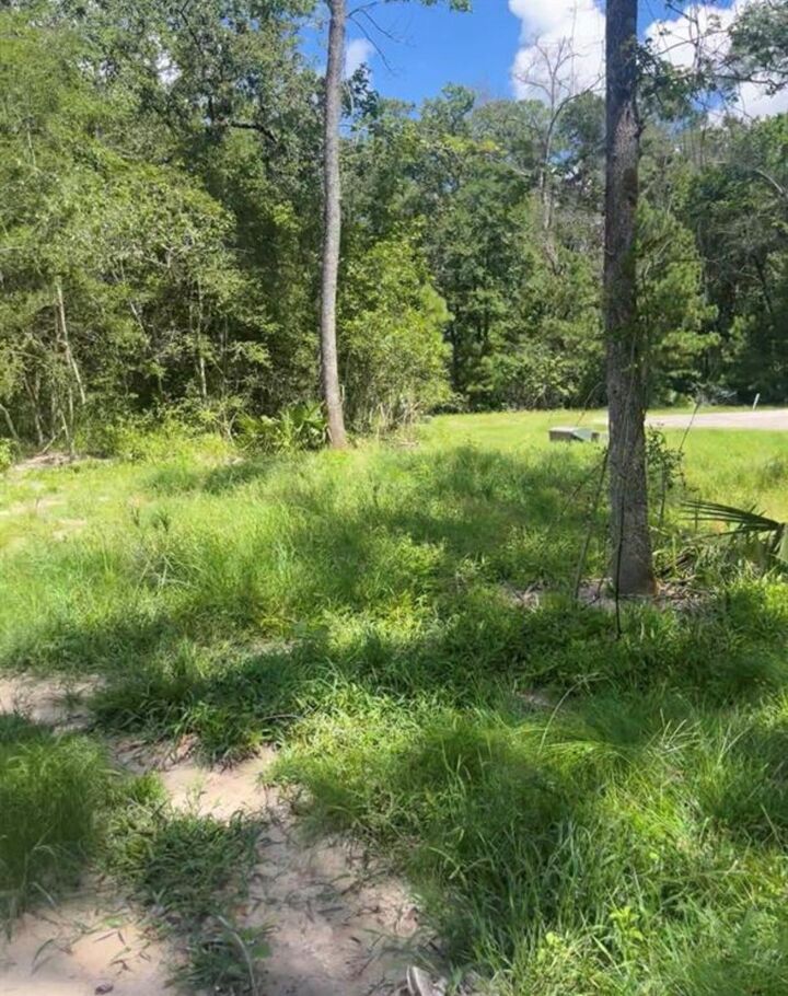 Property Photo: 58 Firewood Road TX 77340