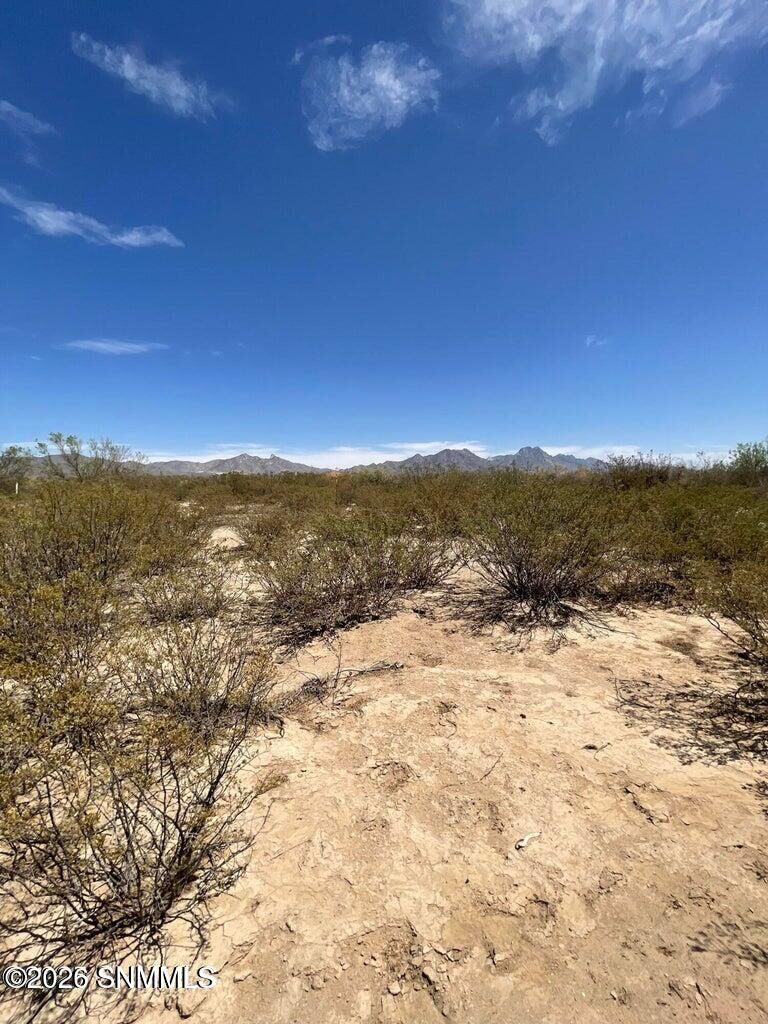 Property Photo:  9245 Rabbit Run Road  NM 88012 