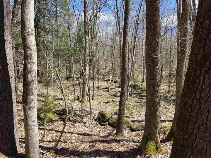 Property Photo: 0 Mansfield Road NH 03456