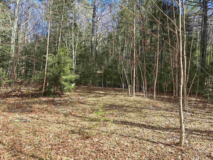 Property Photo:  184 Brock Hill Road  NH 03741 
