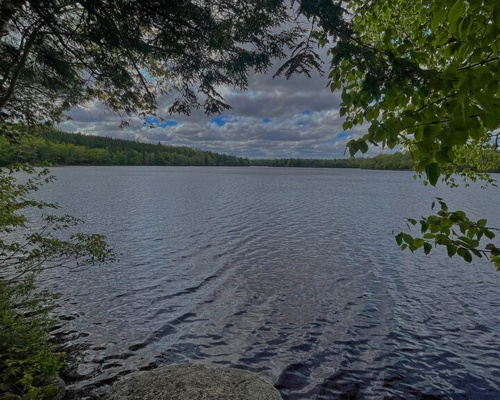 Property Photo: 399 Leville Road NS B0J 2M0