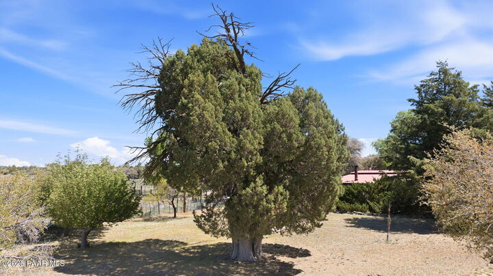 Property Photo:  10262 W Tough Country Trail  AZ 86305 