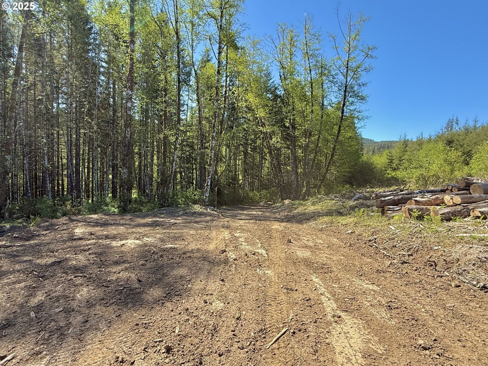 Property Photo:  72000 Clatskanie Heights Rd  OR 97016 