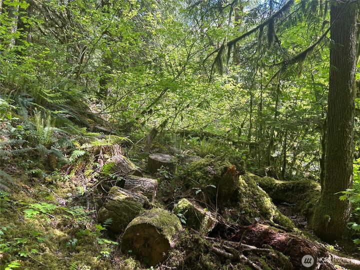 Property Photo:  64017 E Cascade Drive  WA 98267 