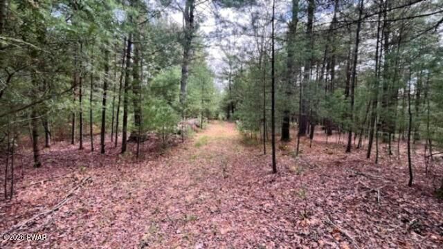 Property Photo:  Lot 20 White Road  NY 12737 