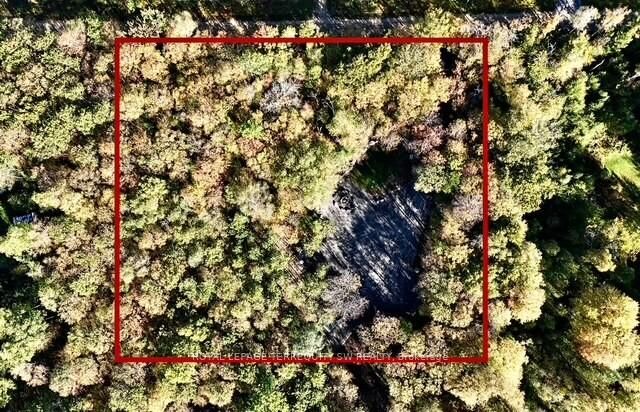 1394 Bartlett Lake Road — photo 1