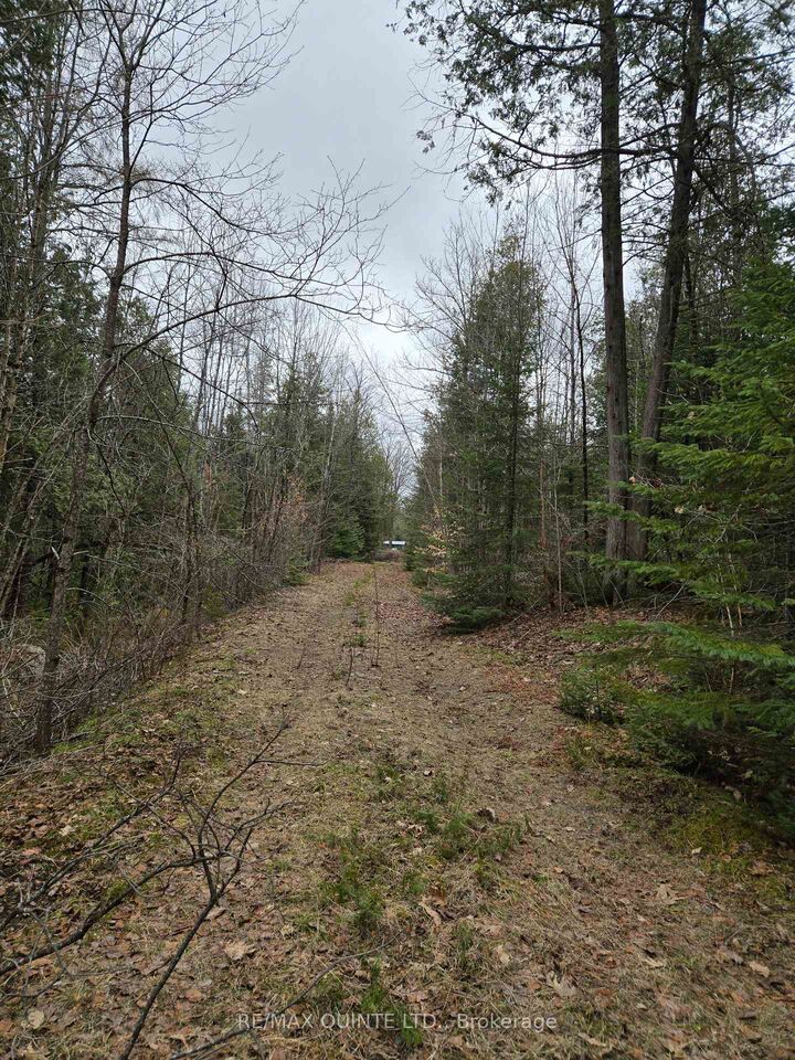 Property Photo: 40 Marquardt Road ON K0H 1K0