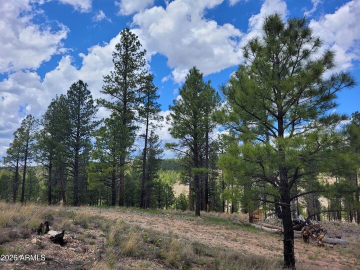 Property Photo:  525 Moqui Drive 6  AZ 86024 