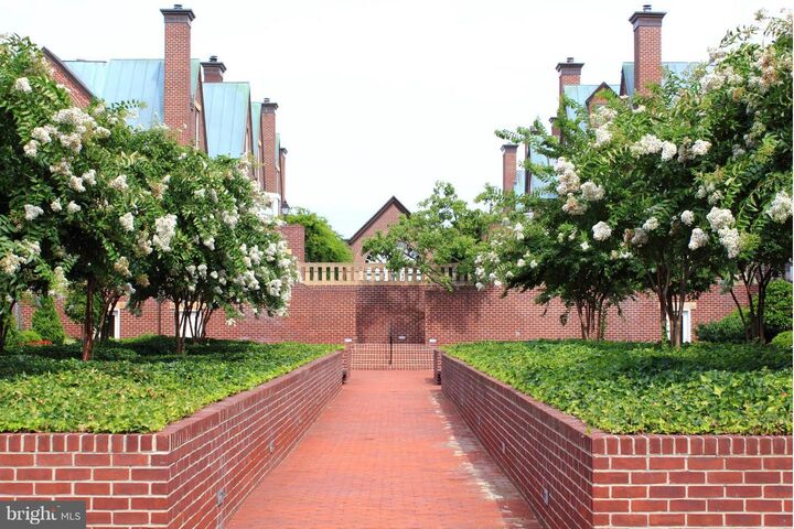Property Photo:  158 Union Street N Th-158  VA 22314 