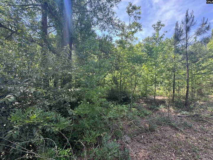 Property Photo:  1331 Boston  SC 29203 