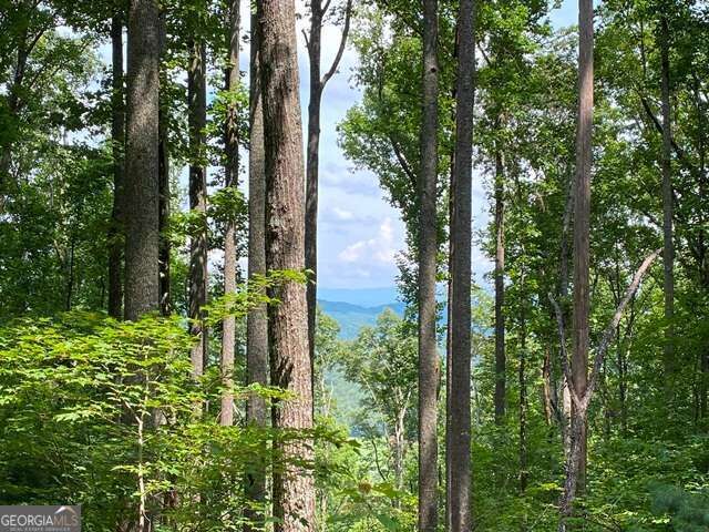 Property Photo:  Lot 1 High Country Lane  GA 30560 