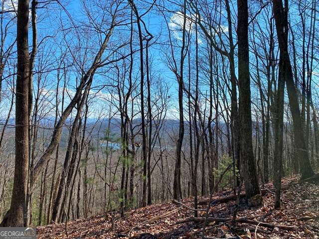 Property Photo:  Lot 1 High Country Lane  GA 30560 