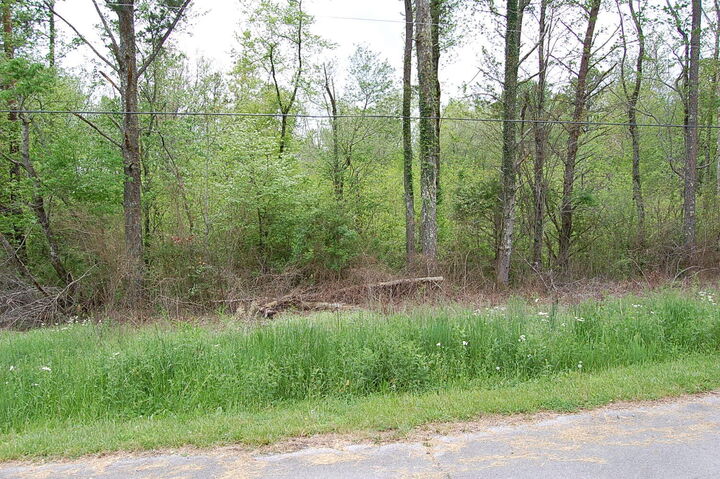 Property Photo:  66 51st Avenue  TN 37339 