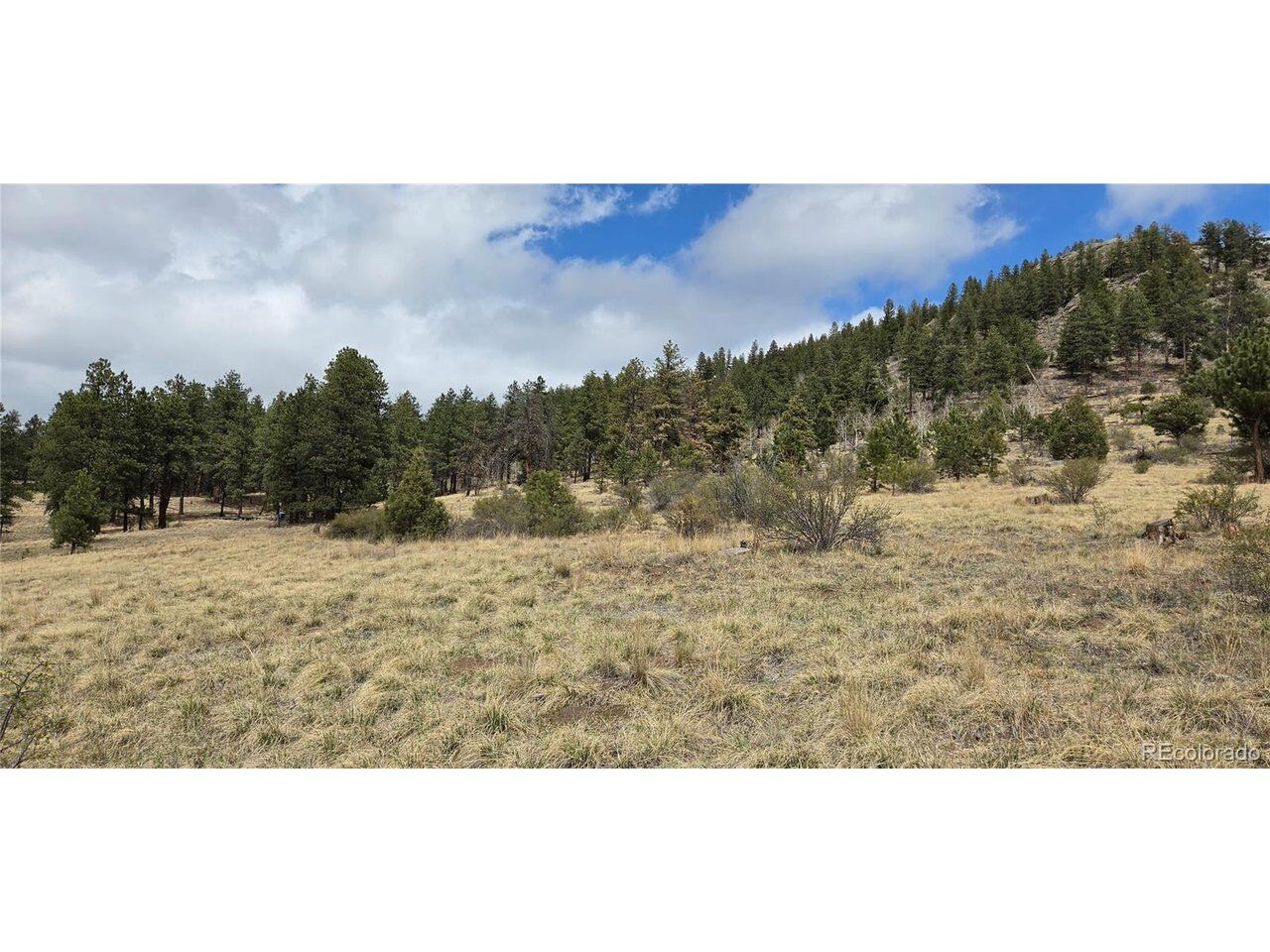 Property Photo: 62430 US Highway 285 CO 80421