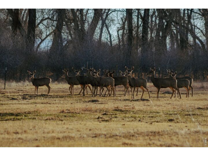 Property Photo:  4690 N County Road 5 W  CO 81144 