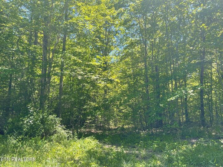 Property Photo:  Rob Watson Rd  TN 37841 