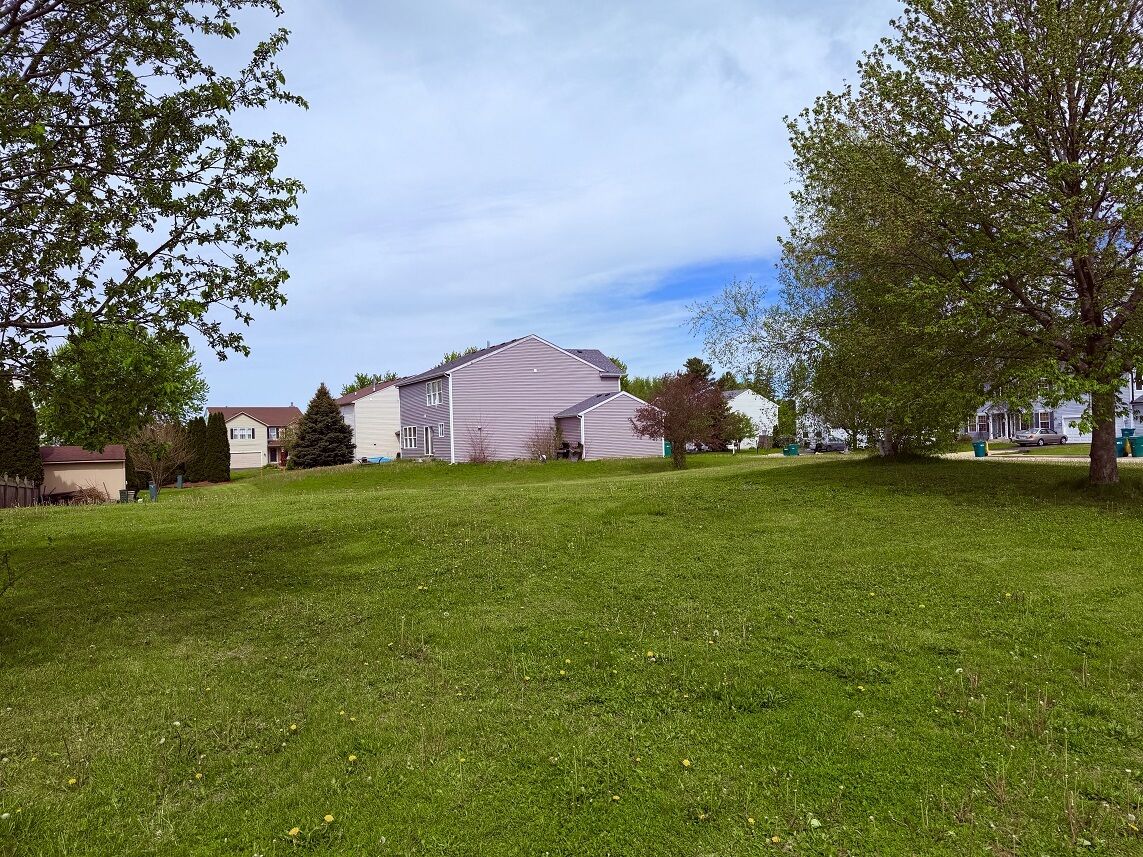 Property Photo:  800 Willow Street  IL 60146 