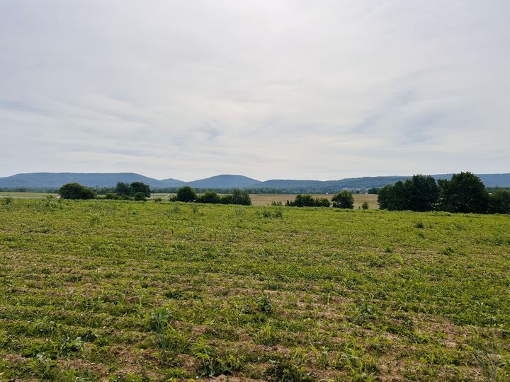 Property Photo: 235 Breezy Knoll Ln TN 37357
