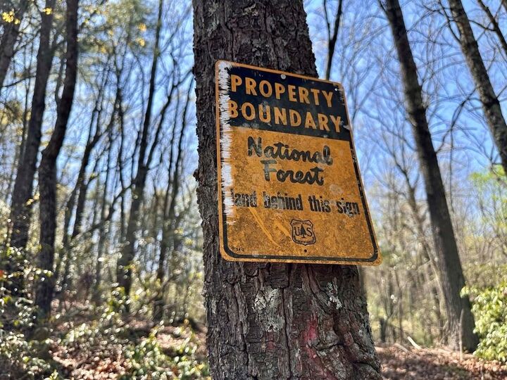 Property Photo:  Tr 1 Pleasant Hill Trail  GA 30540 